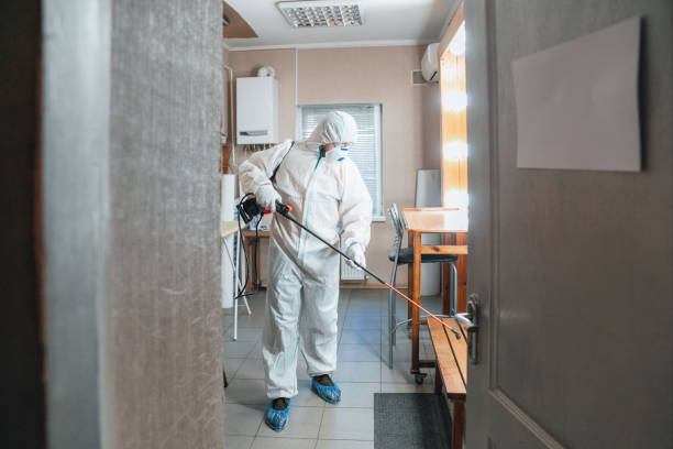 Best Black Mold Removal  in Mccoll, SC