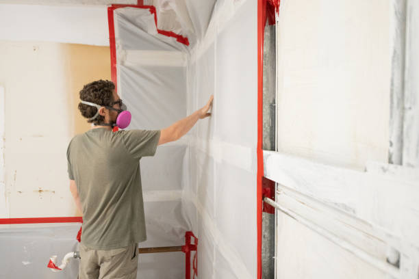  Mccoll, SC Mold Removal Pros