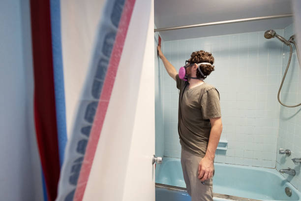 Best Environmental Consulting for Mold Prevention  in Mccoll, SC