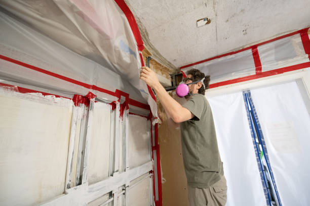 Best Commercial Mold Inspection  in Mccoll, SC